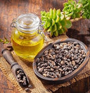 زيت الخروع