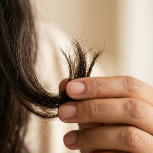 Dehydrated, Split Ends